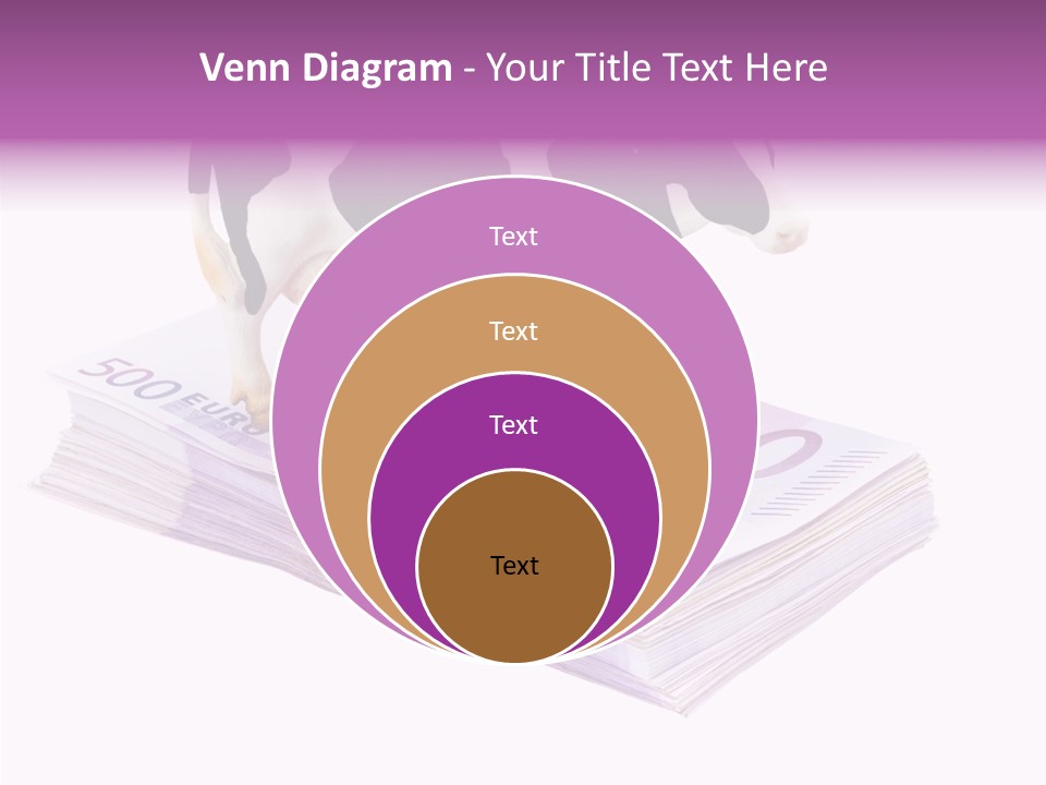 Europe Banknote Research PowerPoint Template