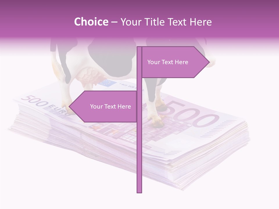 Europe Banknote Research PowerPoint Template