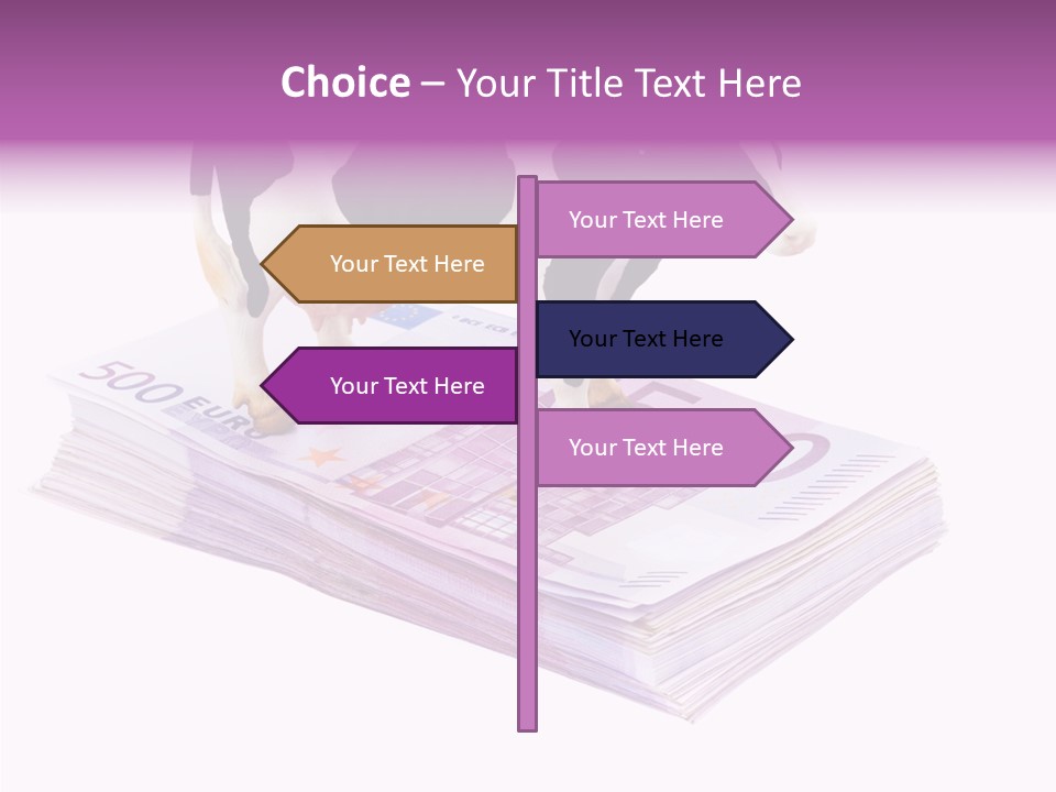 Europe Banknote Research PowerPoint Template