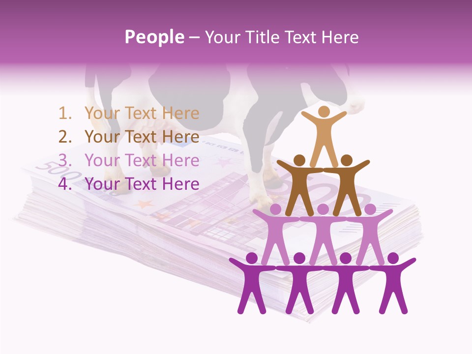 Europe Banknote Research PowerPoint Template