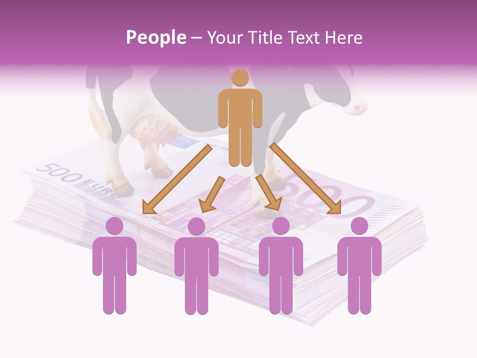 Europe Banknote Research PowerPoint Template