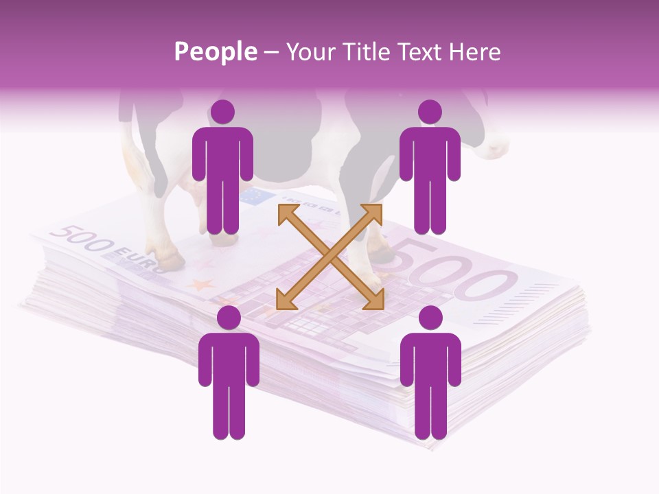 Europe Banknote Research PowerPoint Template