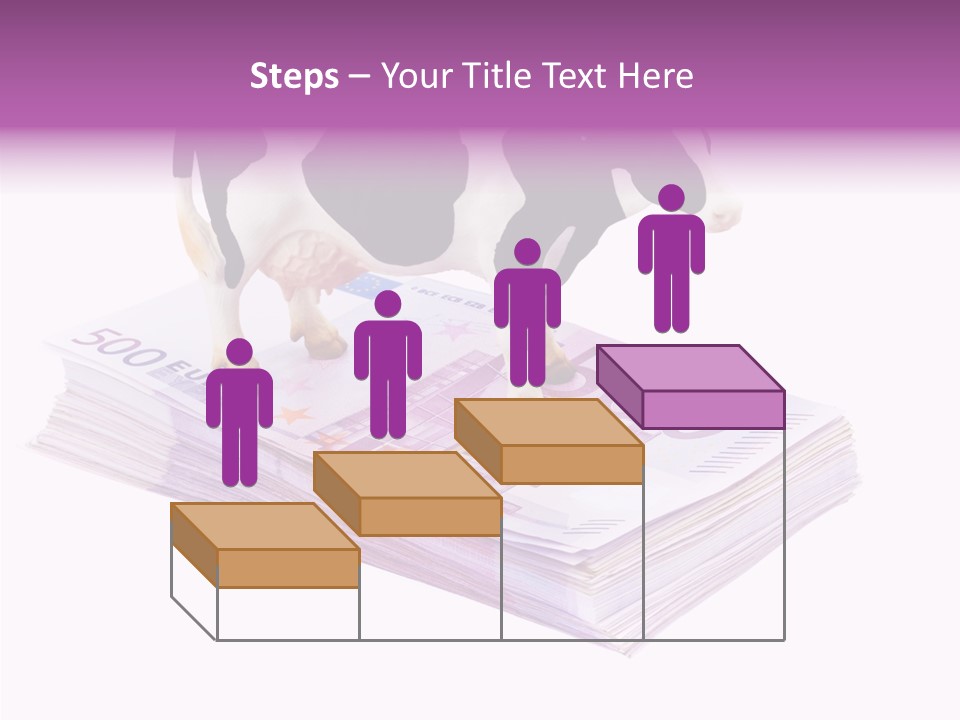 Europe Banknote Research PowerPoint Template