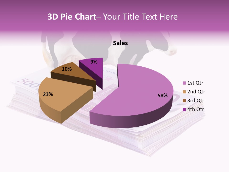 Europe Banknote Research PowerPoint Template