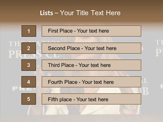 Brand Political Investor PowerPoint Template