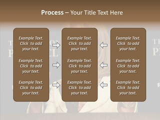 Brand Political Investor PowerPoint Template