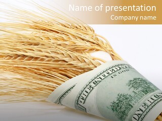 Grain Business Nutrition PowerPoint Template
