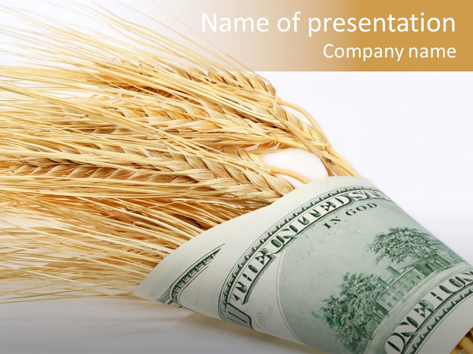 Grain Business Nutrition PowerPoint Template