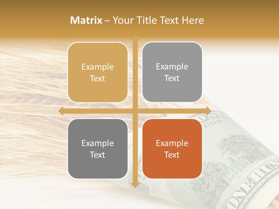 Grain Business Nutrition PowerPoint Template