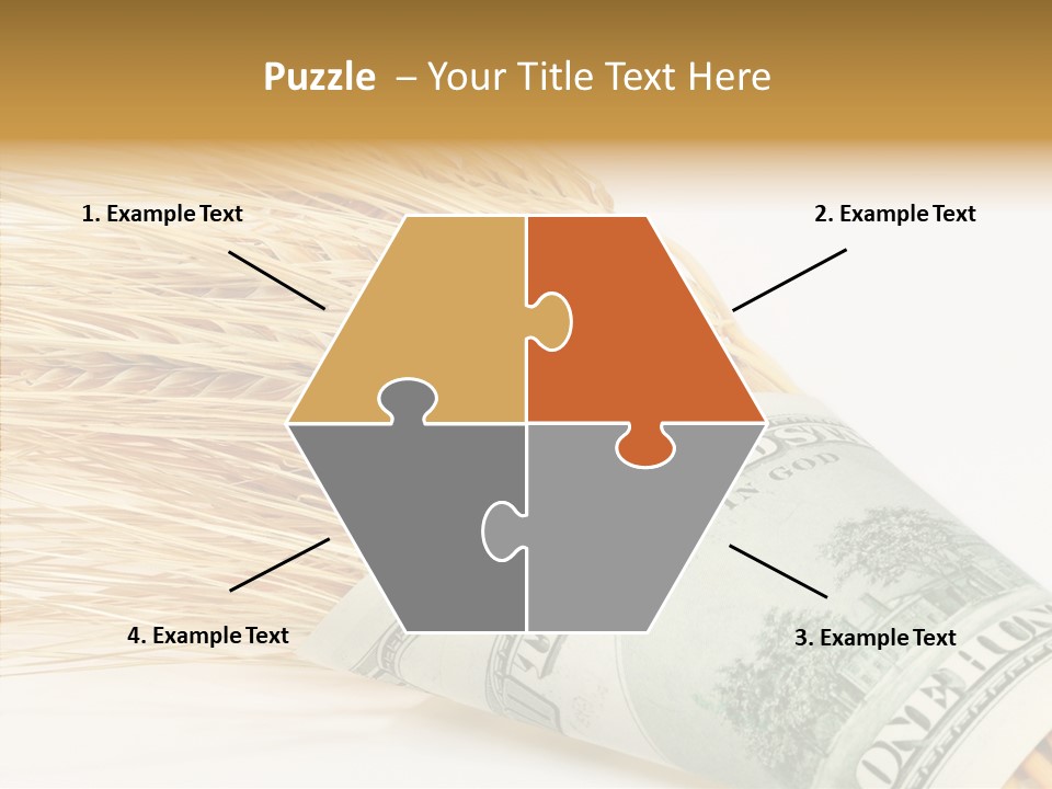Grain Business Nutrition PowerPoint Template