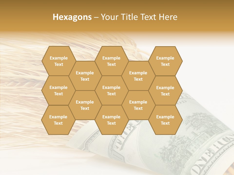 Grain Business Nutrition PowerPoint Template