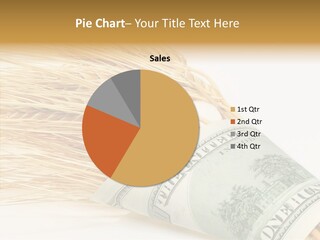 Grain Business Nutrition PowerPoint Template