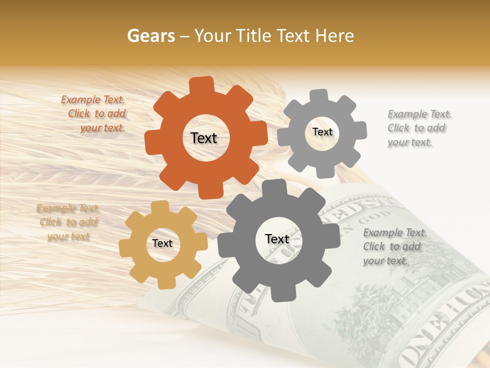 Grain Business Nutrition PowerPoint Template