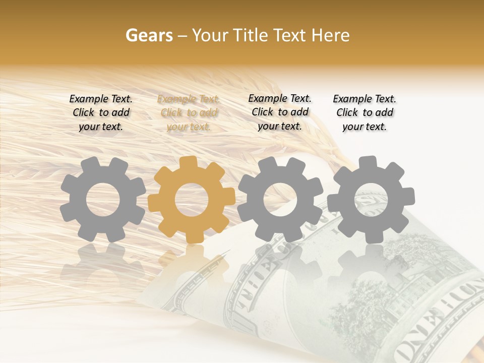 Grain Business Nutrition PowerPoint Template