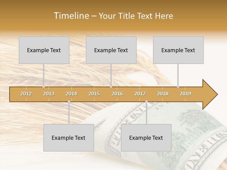 Grain Business Nutrition PowerPoint Template