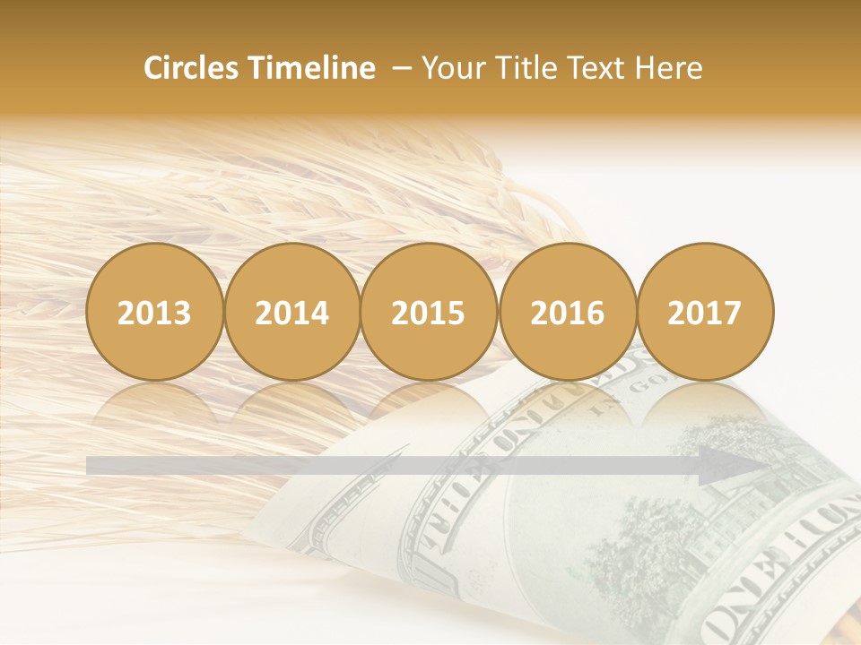 Grain Business Nutrition PowerPoint Template