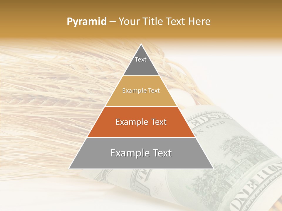 Grain Business Nutrition PowerPoint Template