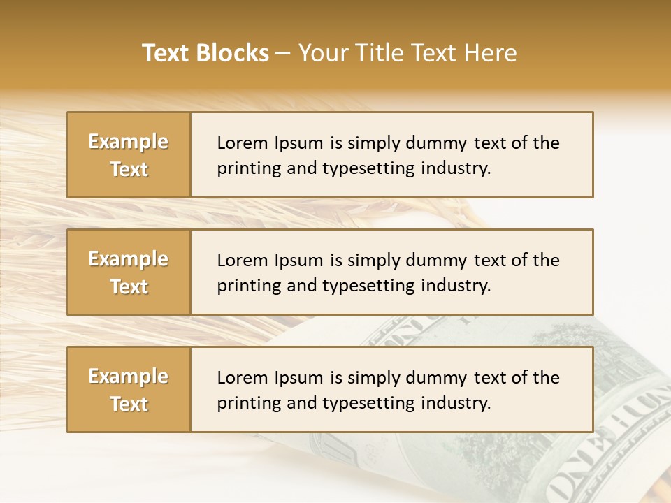 Grain Business Nutrition PowerPoint Template