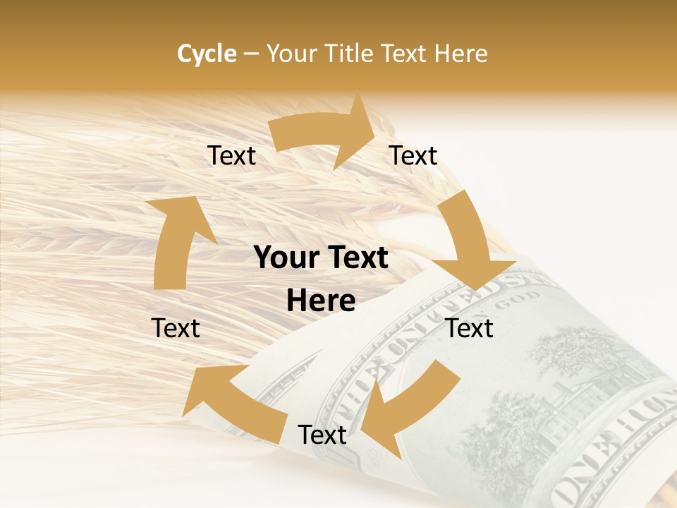 Grain Business Nutrition PowerPoint Template