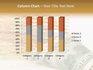 Grain Business Nutrition PowerPoint Template