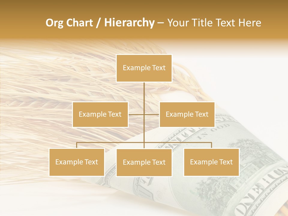 Grain Business Nutrition PowerPoint Template