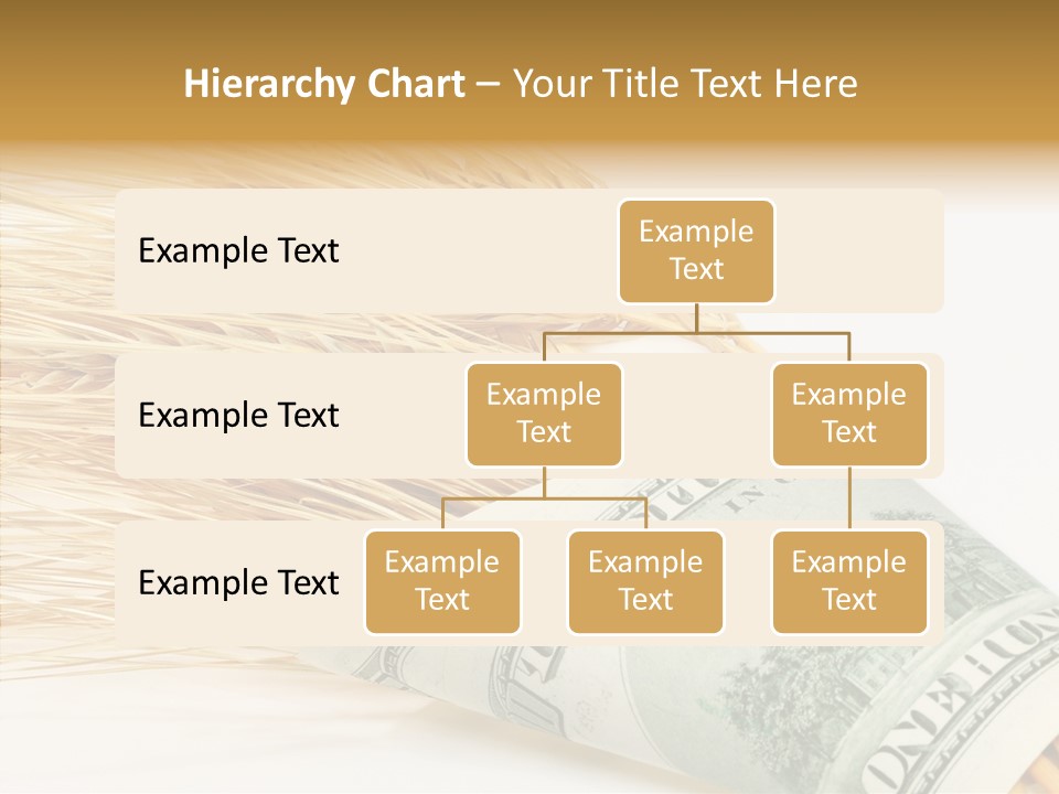 Grain Business Nutrition PowerPoint Template