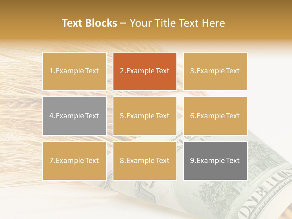 Grain Business Nutrition PowerPoint Template