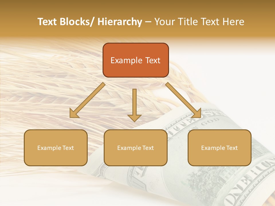 Grain Business Nutrition PowerPoint Template