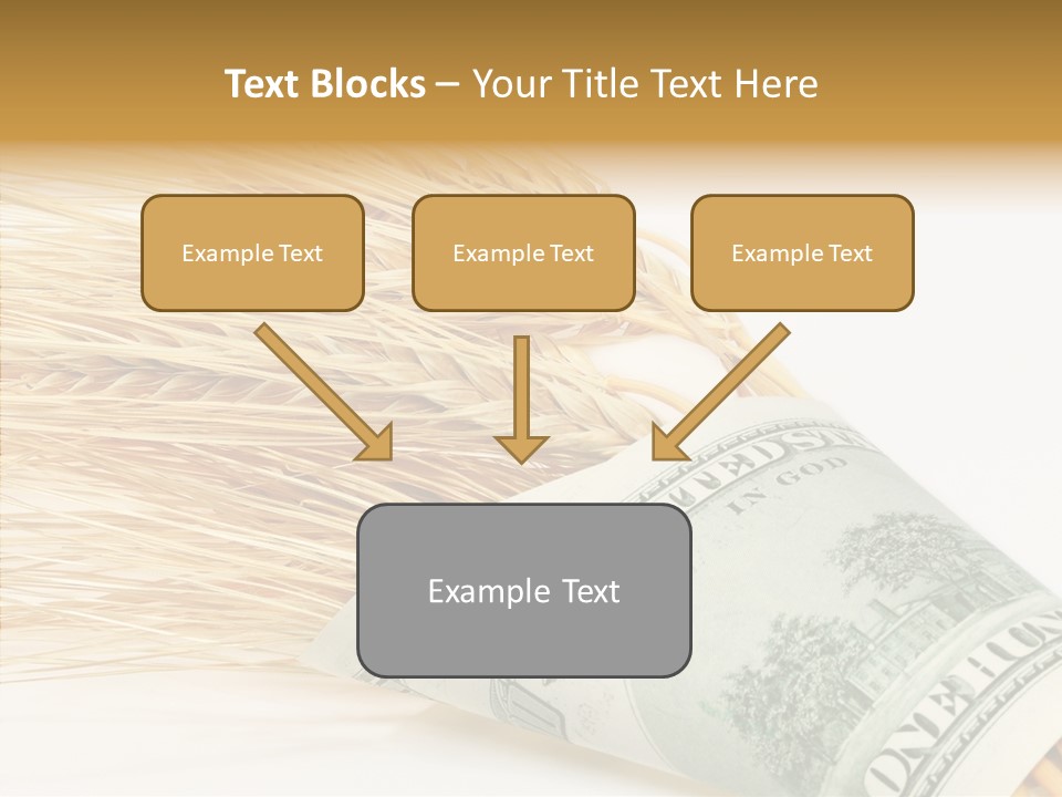 Grain Business Nutrition PowerPoint Template