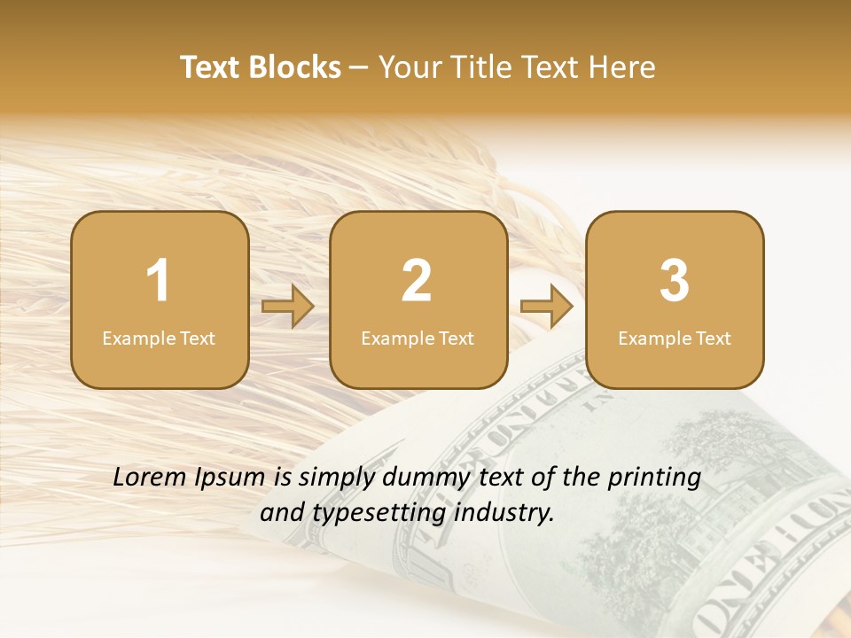 Grain Business Nutrition PowerPoint Template