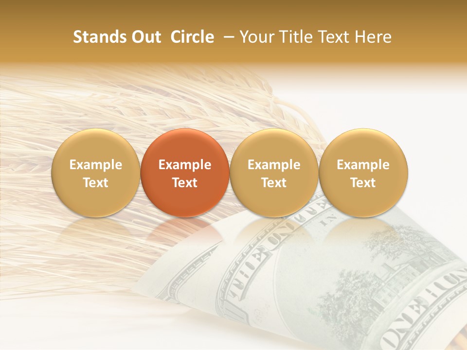 Grain Business Nutrition PowerPoint Template