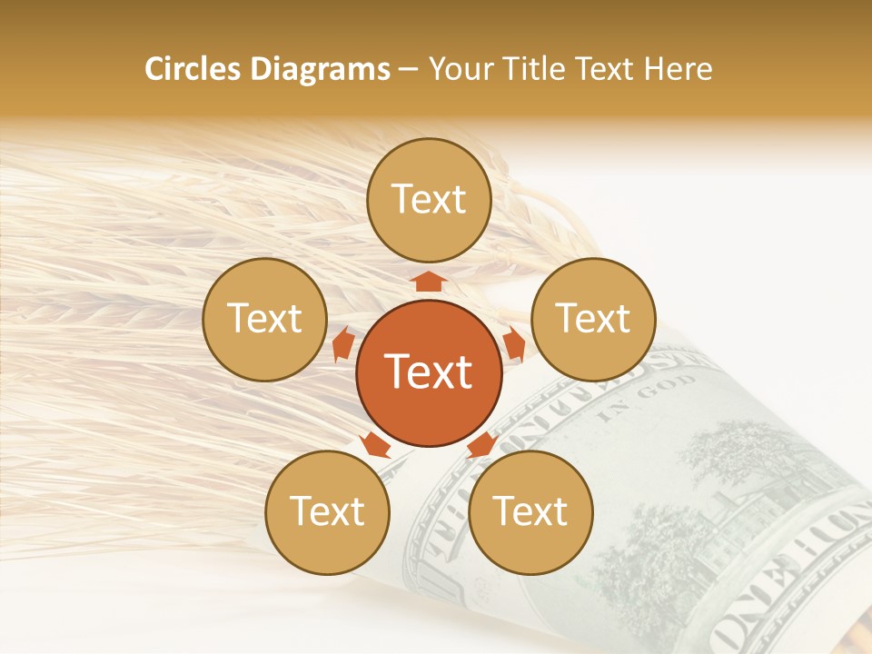 Grain Business Nutrition PowerPoint Template