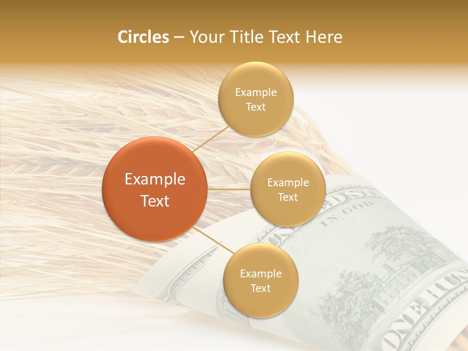 Grain Business Nutrition PowerPoint Template