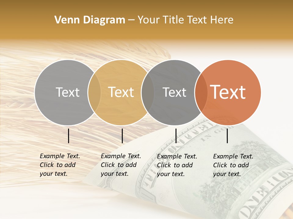 Grain Business Nutrition PowerPoint Template