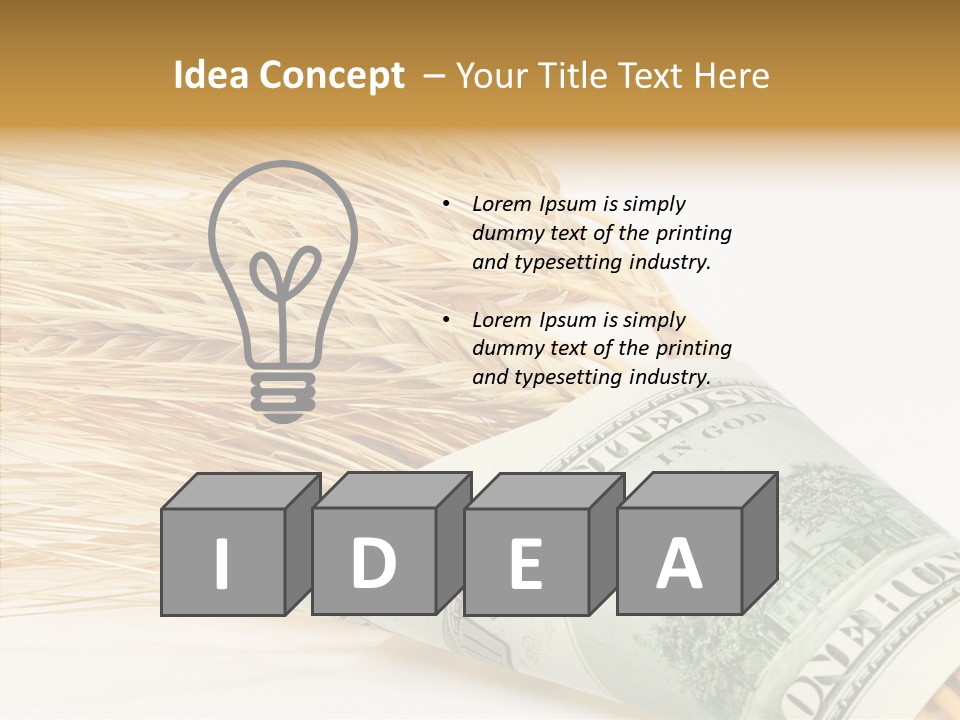 Grain Business Nutrition PowerPoint Template