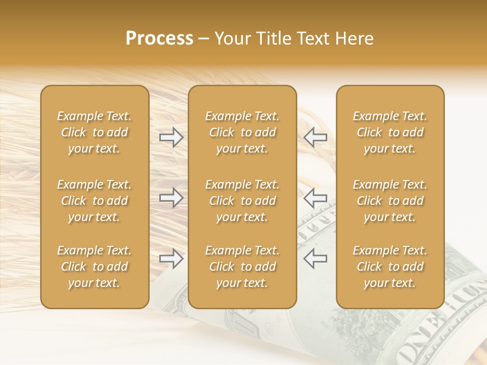 Grain Business Nutrition PowerPoint Template