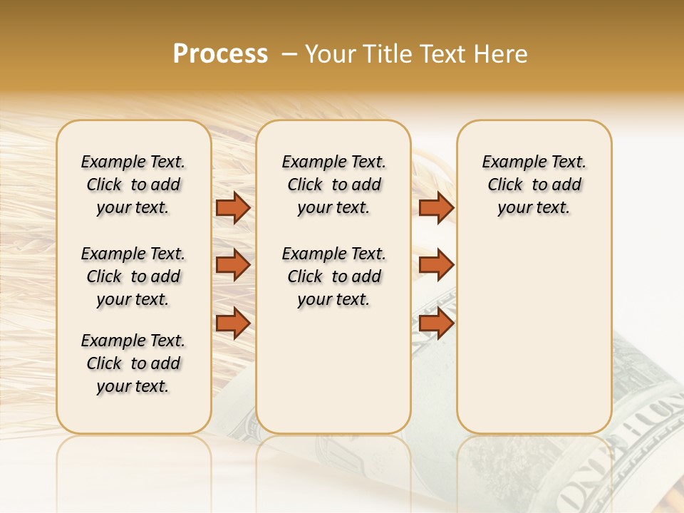 Grain Business Nutrition PowerPoint Template