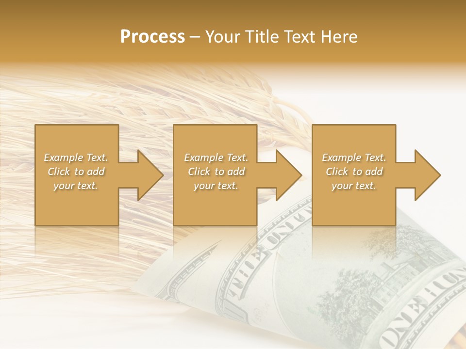 Grain Business Nutrition PowerPoint Template