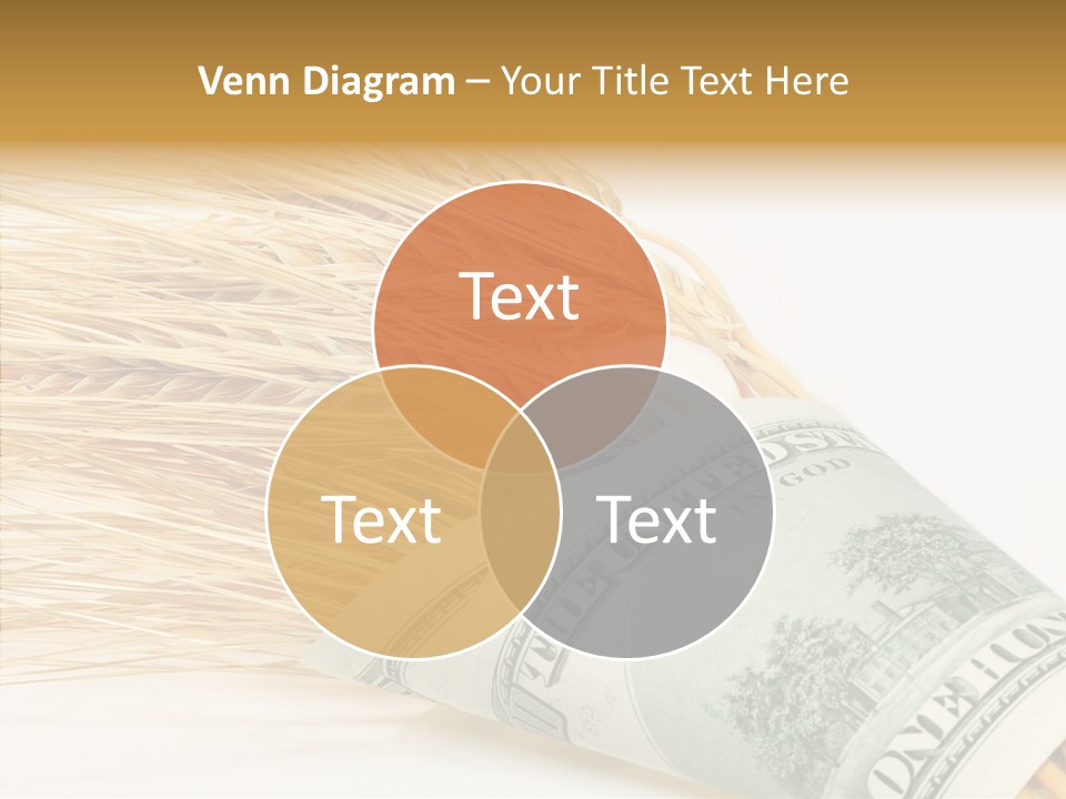 Grain Business Nutrition PowerPoint Template