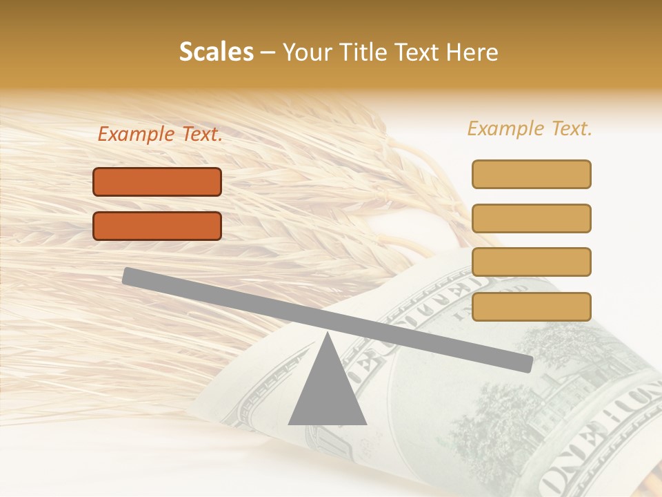 Grain Business Nutrition PowerPoint Template