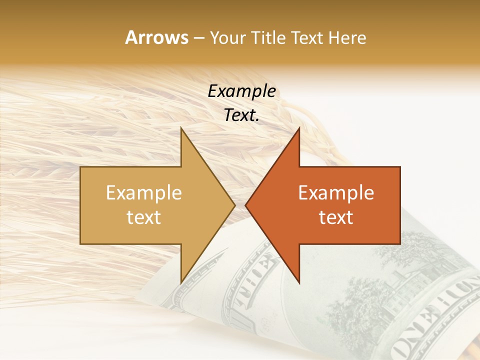 Grain Business Nutrition PowerPoint Template