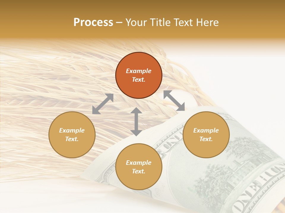 Grain Business Nutrition PowerPoint Template
