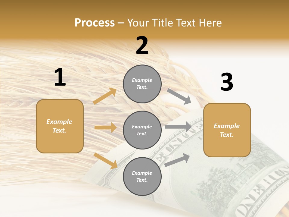 Grain Business Nutrition PowerPoint Template