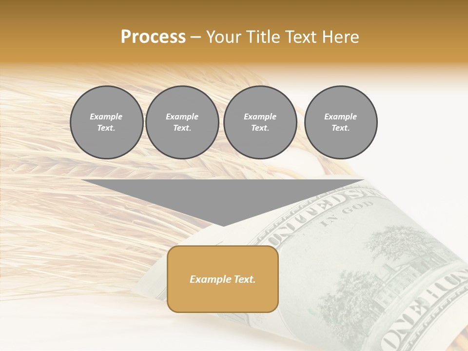 Grain Business Nutrition PowerPoint Template