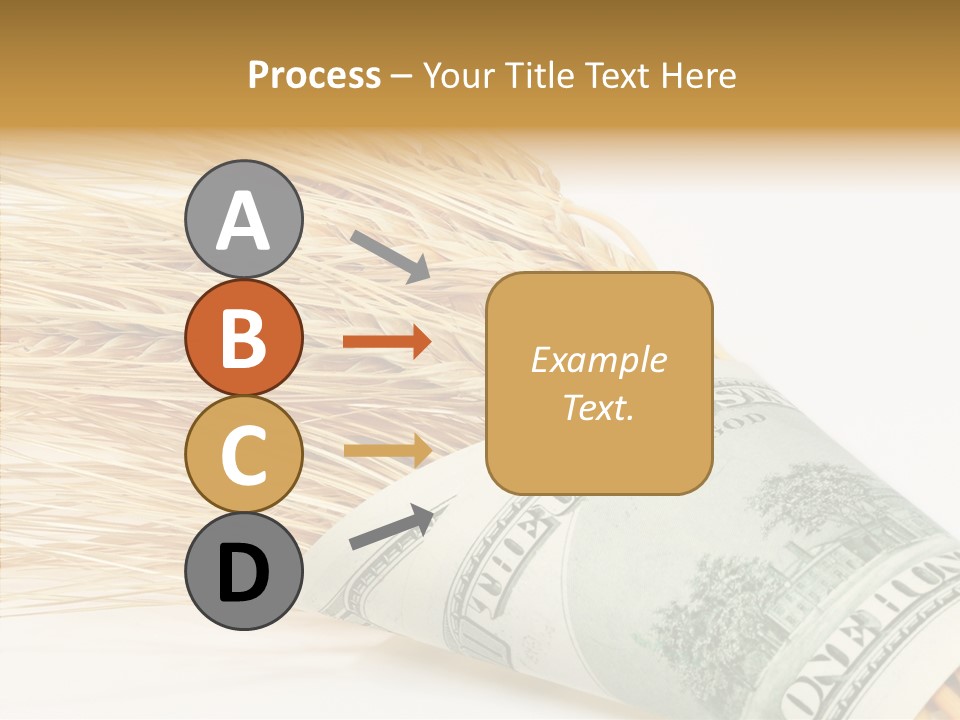 Grain Business Nutrition PowerPoint Template