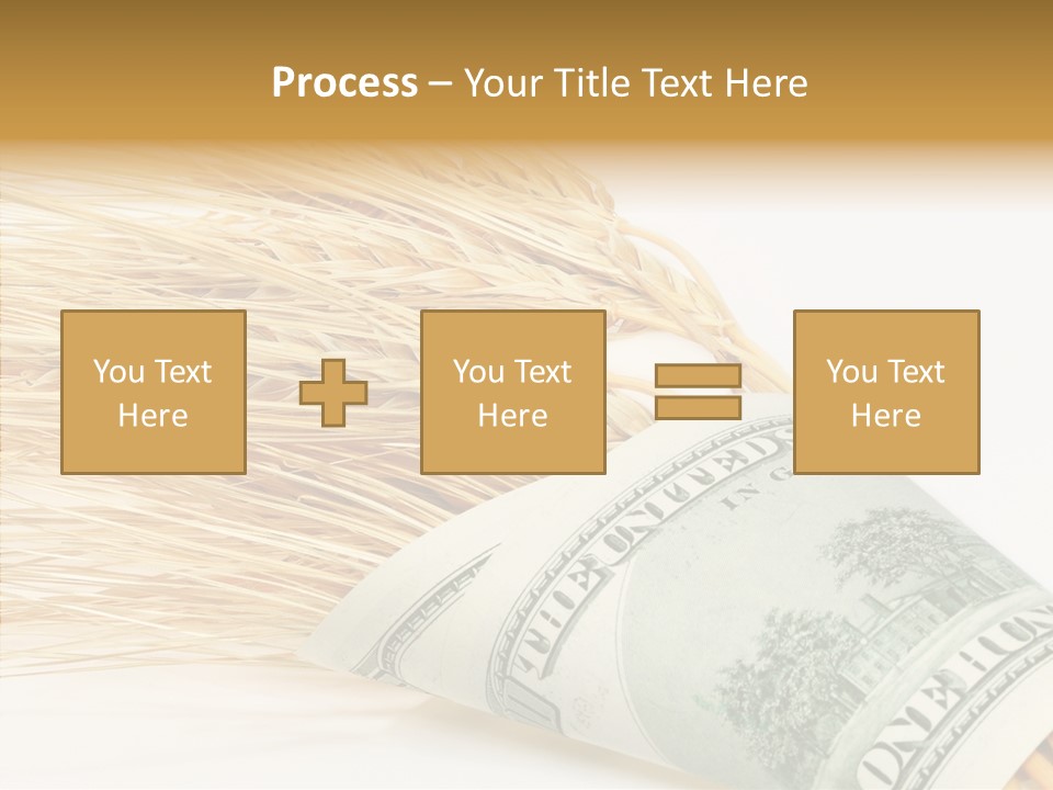 Grain Business Nutrition PowerPoint Template
