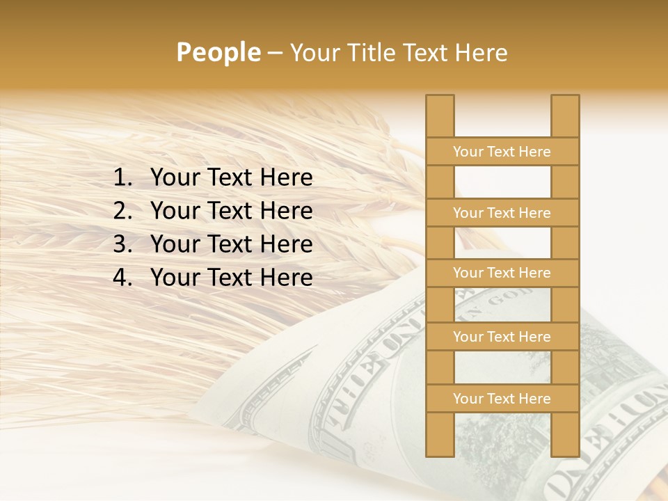 Grain Business Nutrition PowerPoint Template