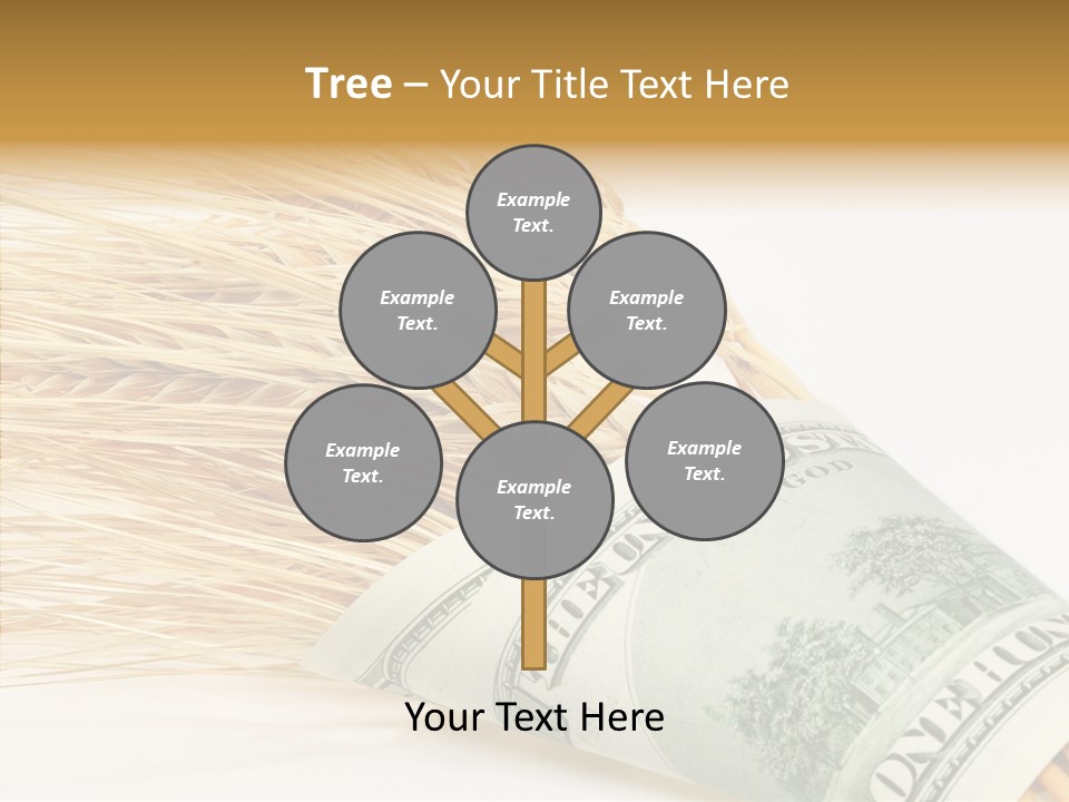 Grain Business Nutrition PowerPoint Template