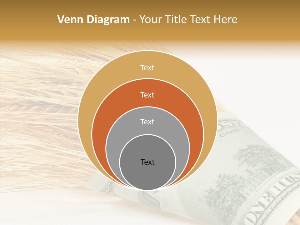 Grain Business Nutrition PowerPoint Template