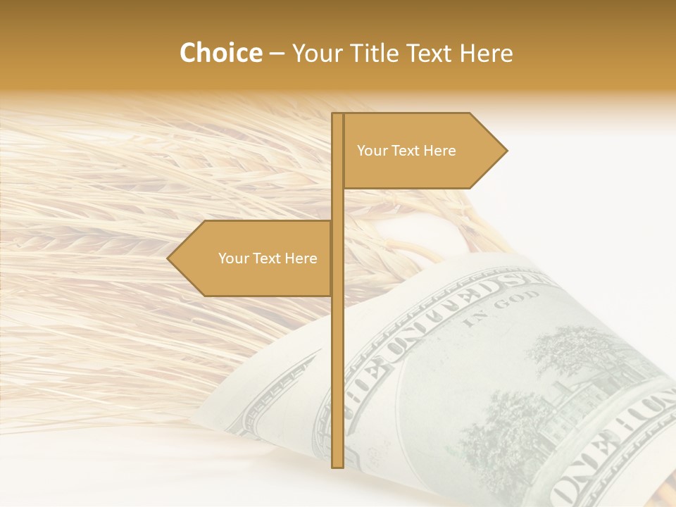 Grain Business Nutrition PowerPoint Template